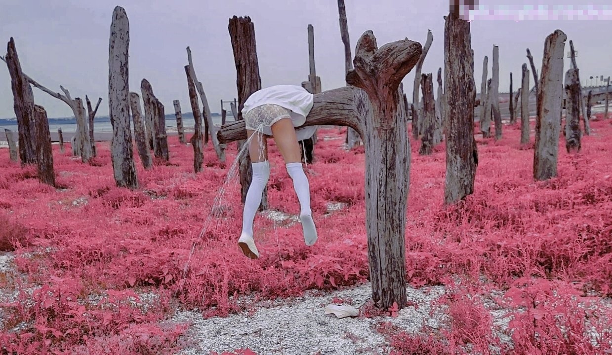 新奇刺激小闷骚型小可爱,当街浣肠潮喷露出,调教肛塞尾巴束缚,跳蛋控制潮吹漏尿 高潮颤挛抽搐