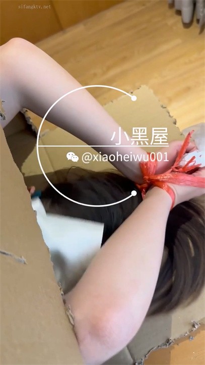 青春京都女孩放在纸箱里 被各种玩弄真刺激