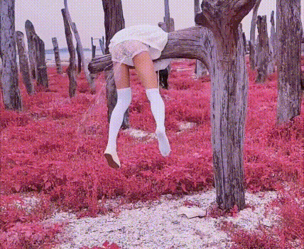 新奇刺激小闷骚型小可爱,当街浣肠潮喷露出,调教肛塞尾巴束缚,跳蛋控制潮吹漏尿 高潮颤挛抽搐