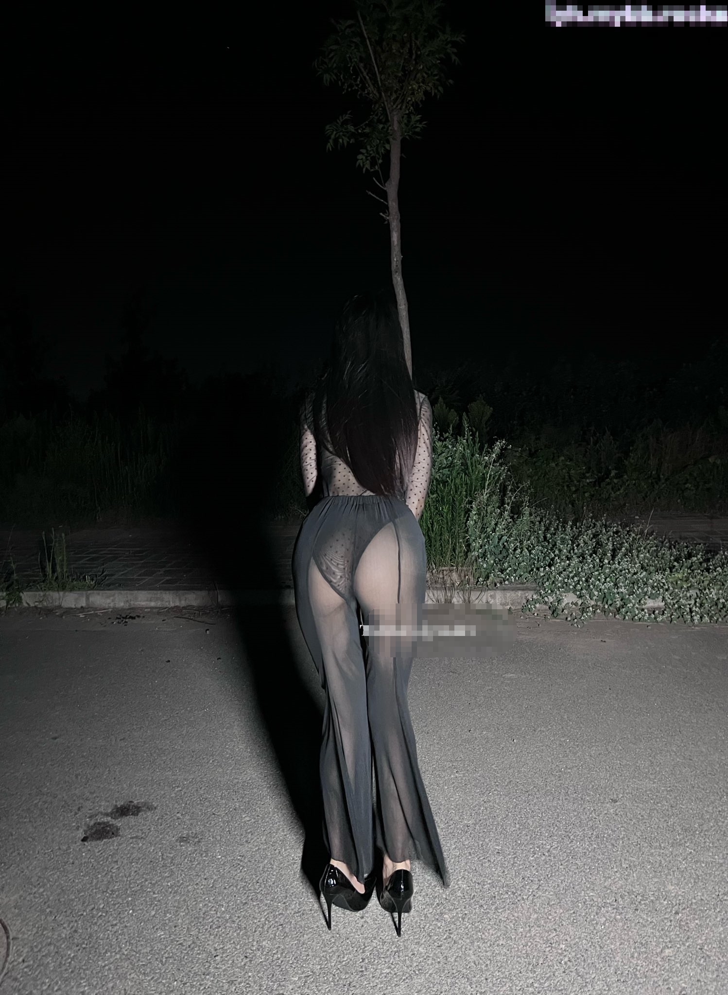 衣服还没脱完被后入一边打屁股一边辱骂用力操，太舒服了