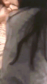 前后齐插3p完美女神 第一次3p,光听对话就老刺激了 单男热火朝天的在老公面前干着