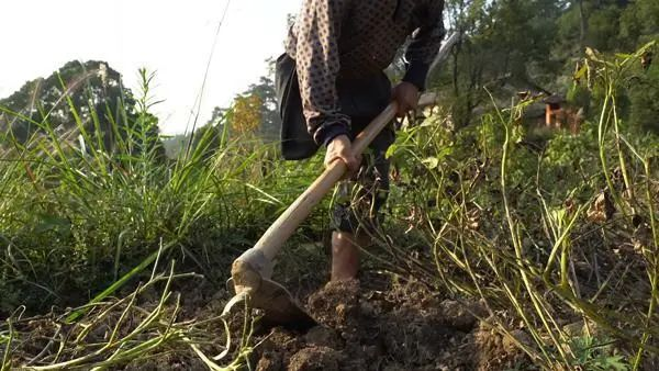 当年被大老板“退养”后，小马云变成了这个样子...