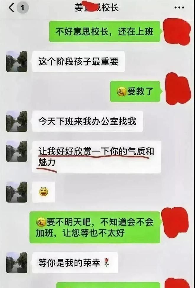 “我这是母爱,不是出轨!” 上海美女妈妈为儿子入学陪校长睡觉
