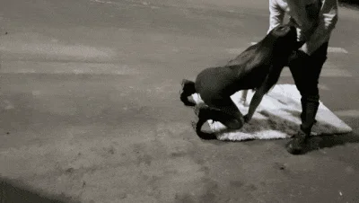 牛逼了 午夜街头 【呦呦宝贝呀】 重磅 2男3女KTV群P混操 马路上无套开干