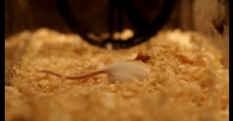 盘点欧美那些堪比AV的MV