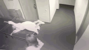 14张动图告诉你，外国人到底有多么不怕死！