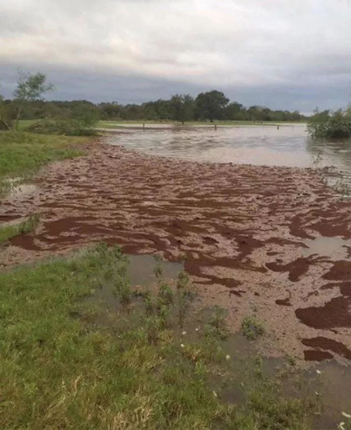 25张不可思议的照片,告诉我们大自然无所不能