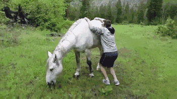 14张动图告诉你，外国人到底有多么不怕死！