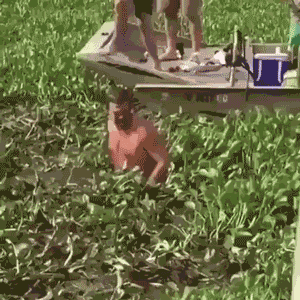 14张动图告诉你，外国人到底有多么不怕死！