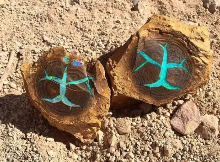 25张不可思议的照片,告诉我们大自然无所不能