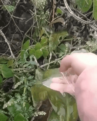 25张不可思议的照片,告诉我们大自然无所不能