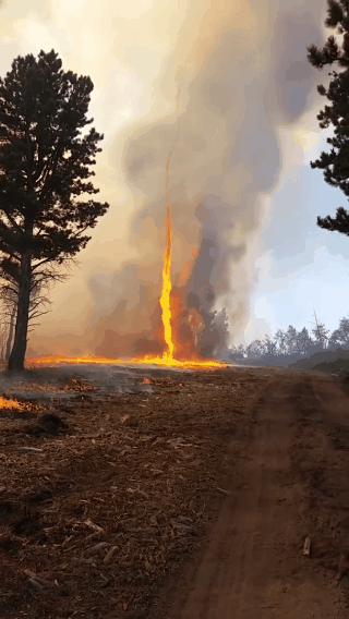 25张不可思议的照片,告诉我们大自然无所不能