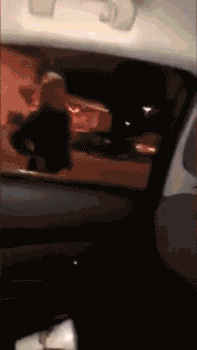 14张动图告诉你，外国人到底有多么不怕死！