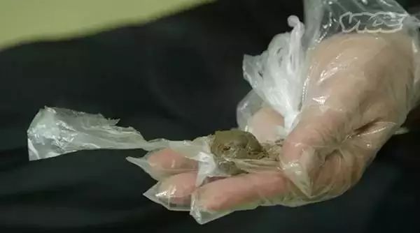 她为了吃口“屎”，专门跑到了韩国