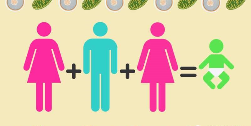 英国首次诞生含有三人DNA的婴儿 一男两女“合作”
