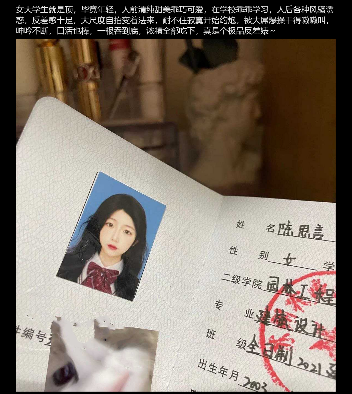 苏州农业技术职业学院建筑设计专业 「陈思言」 巨乳自拍约炮视频流出