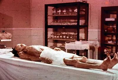 尸毒有多恐怖？看看马王堆“辛追夫人”墓就知道了…