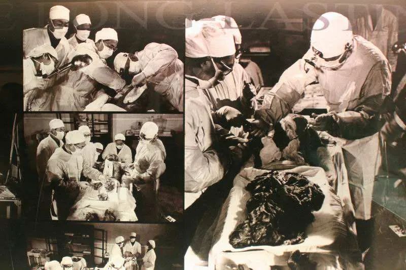 尸毒有多恐怖？看看马王堆“辛追夫人”墓就知道了…