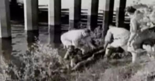 恐怖恋足癖，杀人后切下脚…