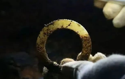 海昏侯墓出土的肛塞，网友：又长见识了...