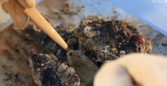 海昏侯墓出土的肛塞，网友：又长见识了...