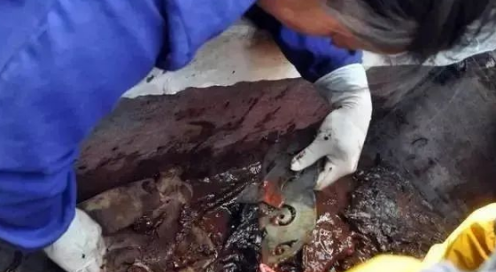 海昏侯墓出土的肛塞，网友：又长见识了...