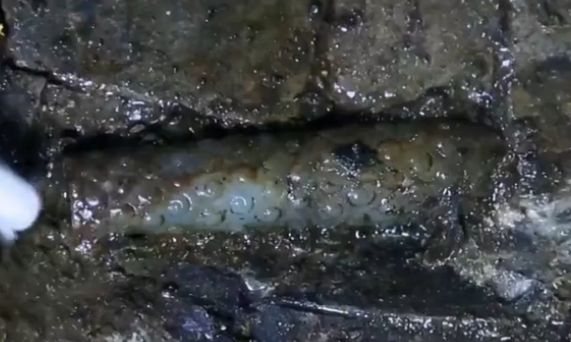 海昏侯墓出土的肛塞，网友：又长见识了...