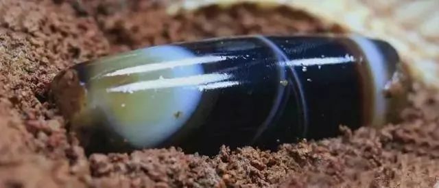 海昏侯墓出土的肛塞，网友：又长见识了...