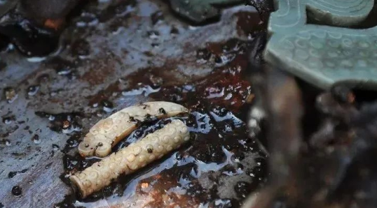 海昏侯墓出土的肛塞，网友：又长见识了...