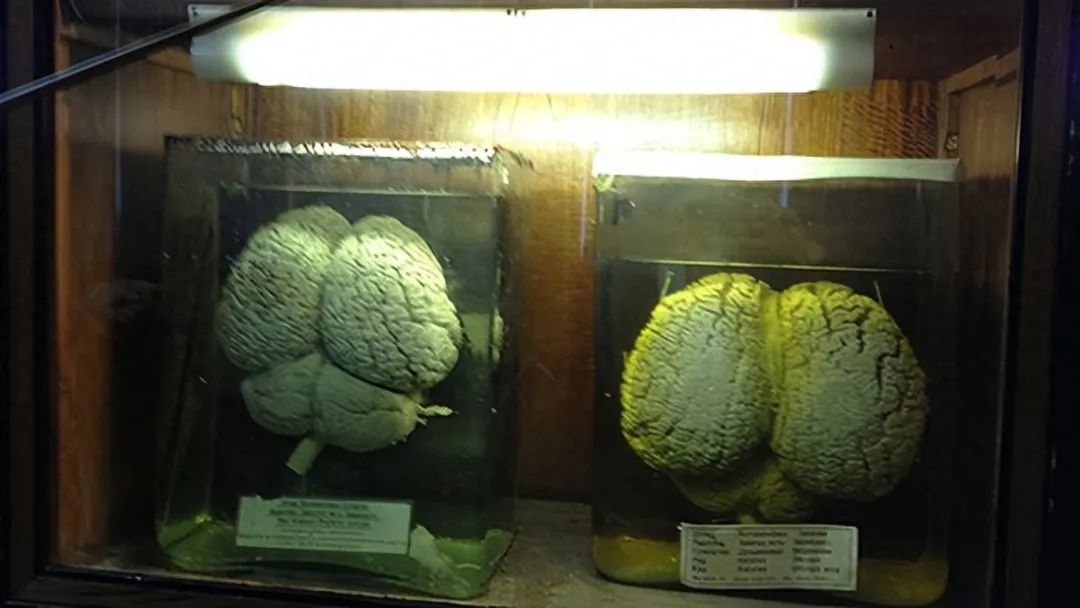 32张难得一见的罕见图片，真实到恐怖，富士山下的东京