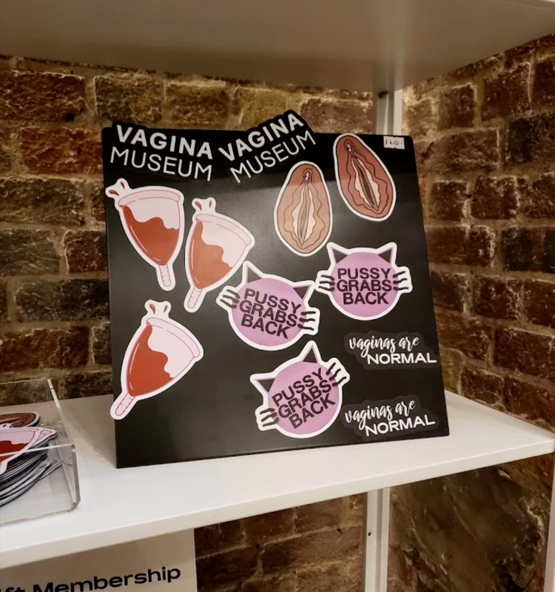 千奇百怪的博物馆——阴道博物馆