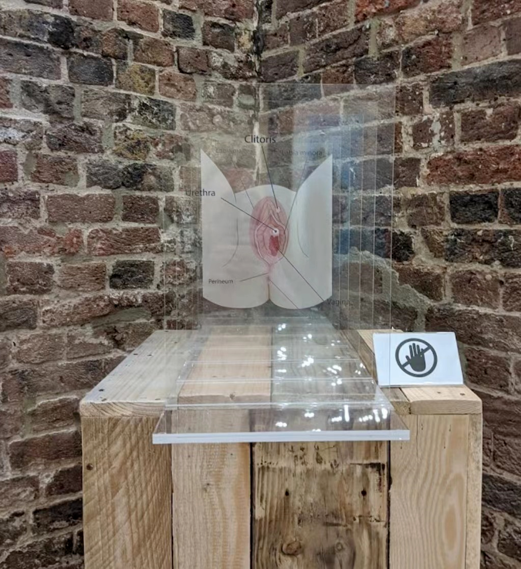 千奇百怪的博物馆——阴道博物馆