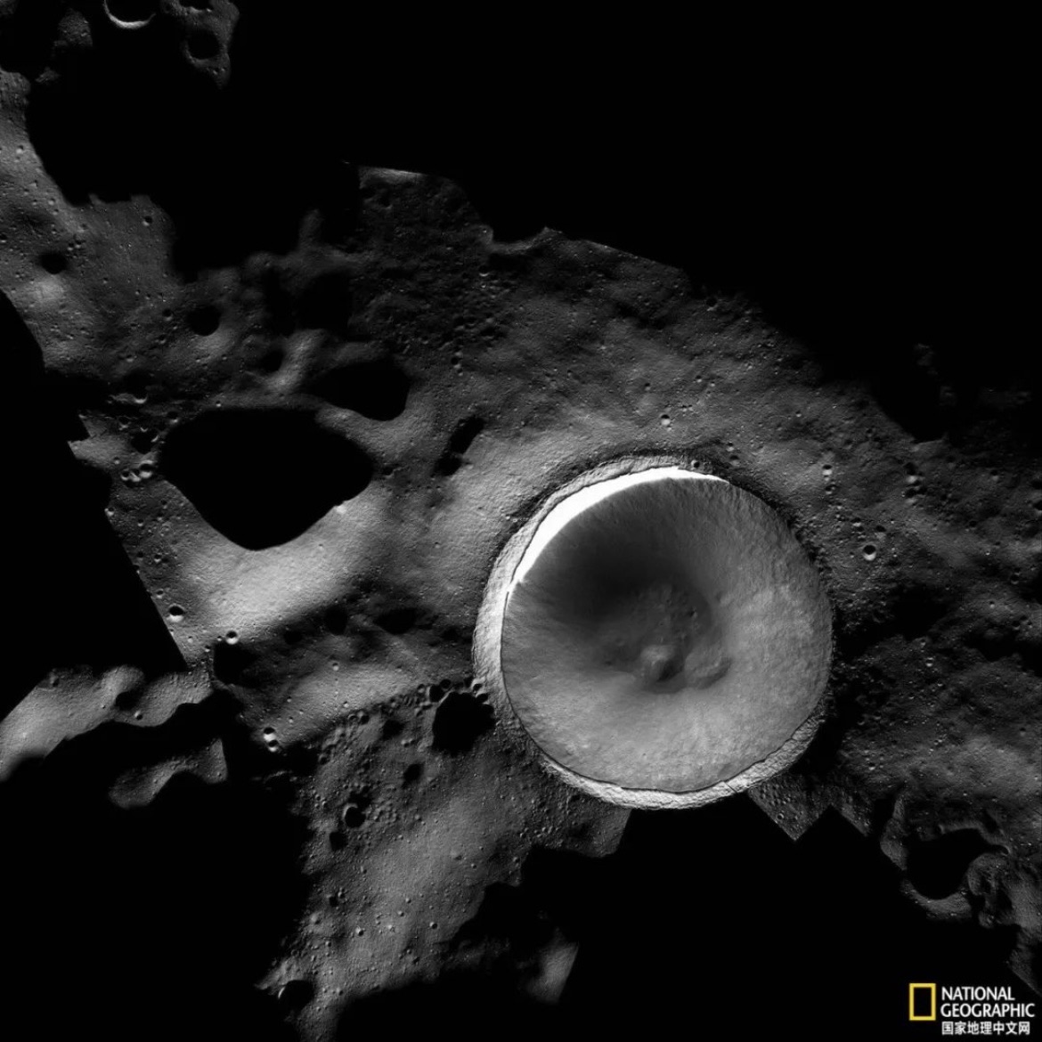 兔子还没找到，但广寒宫会来一条蛇