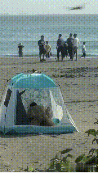 多场景偷拍厕所野外偷拍啪啪撒尿 超刺激！