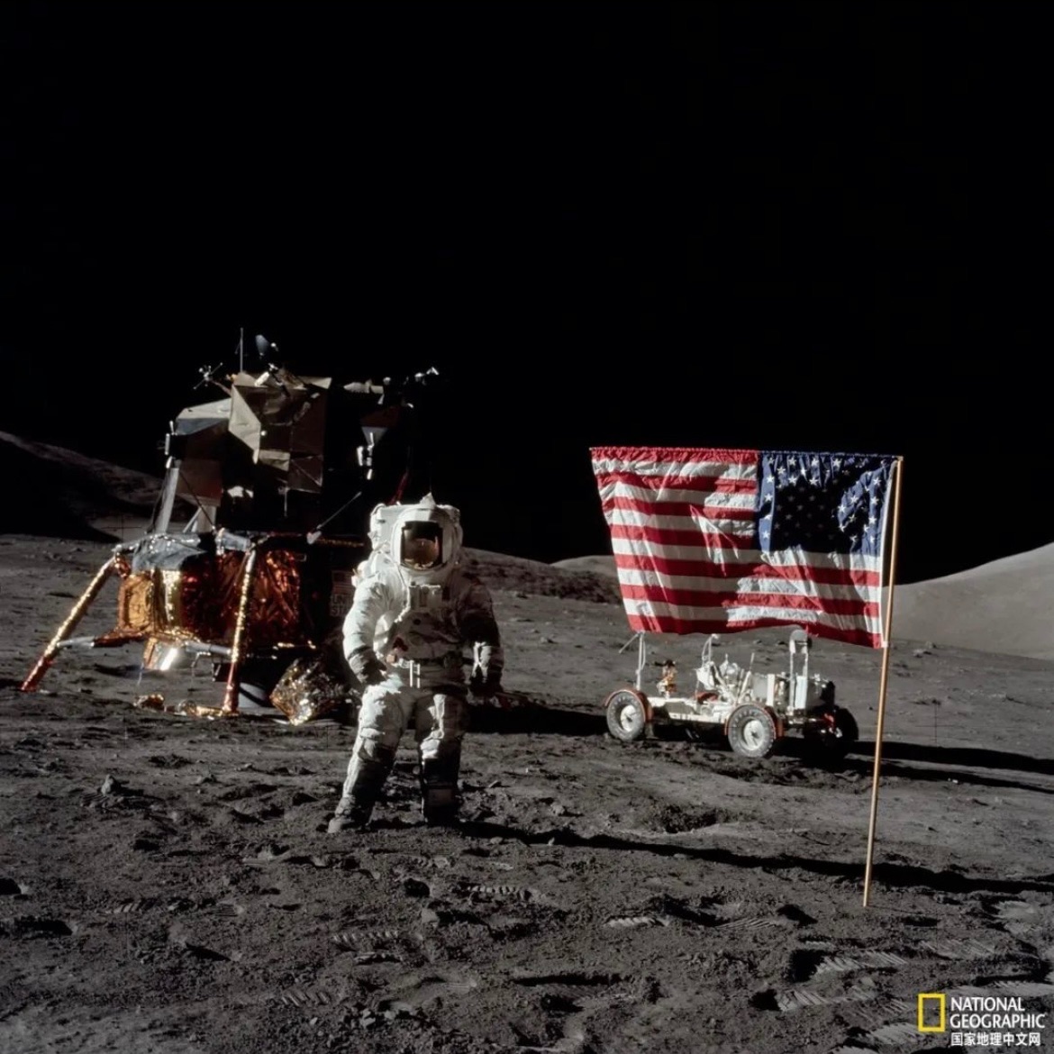 兔子还没找到，但广寒宫会来一条蛇