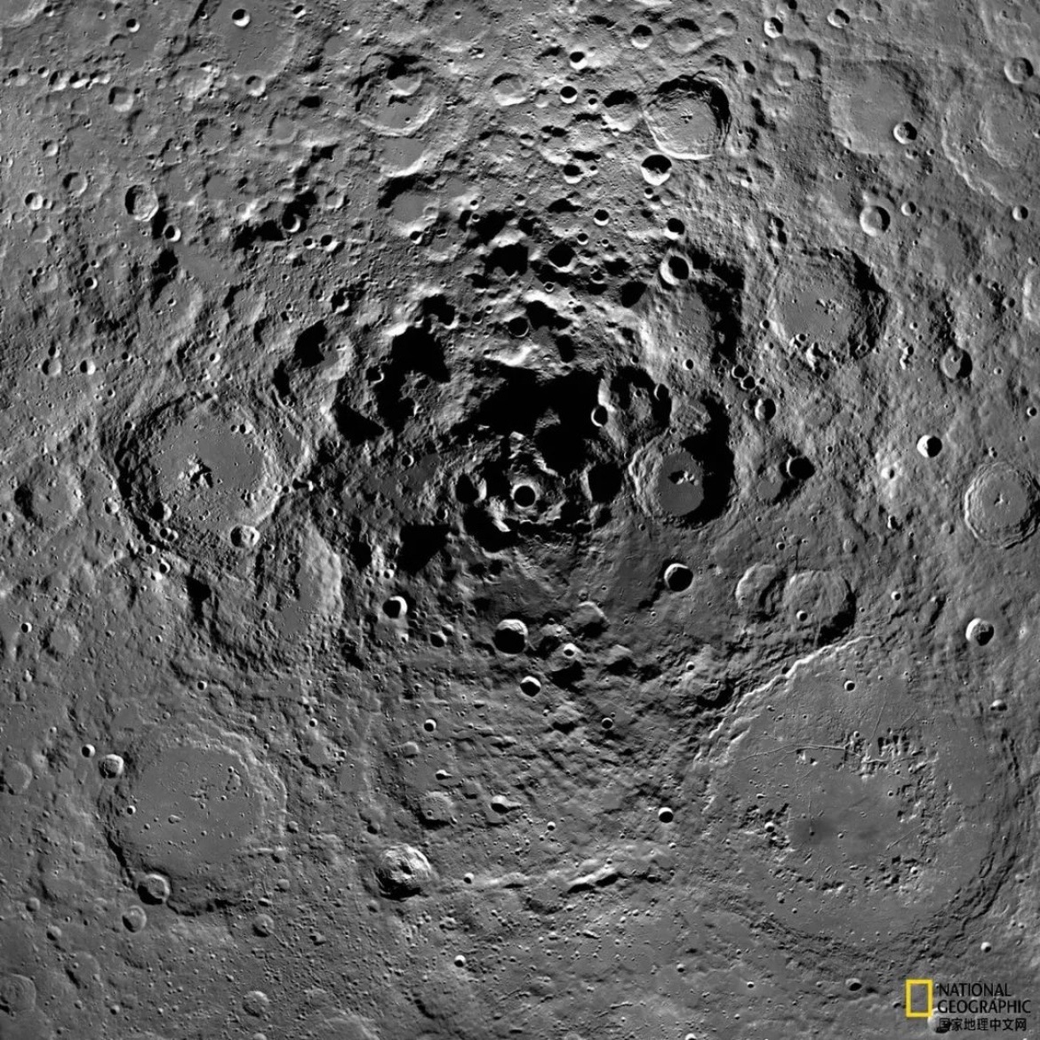 兔子还没找到，但广寒宫会来一条蛇