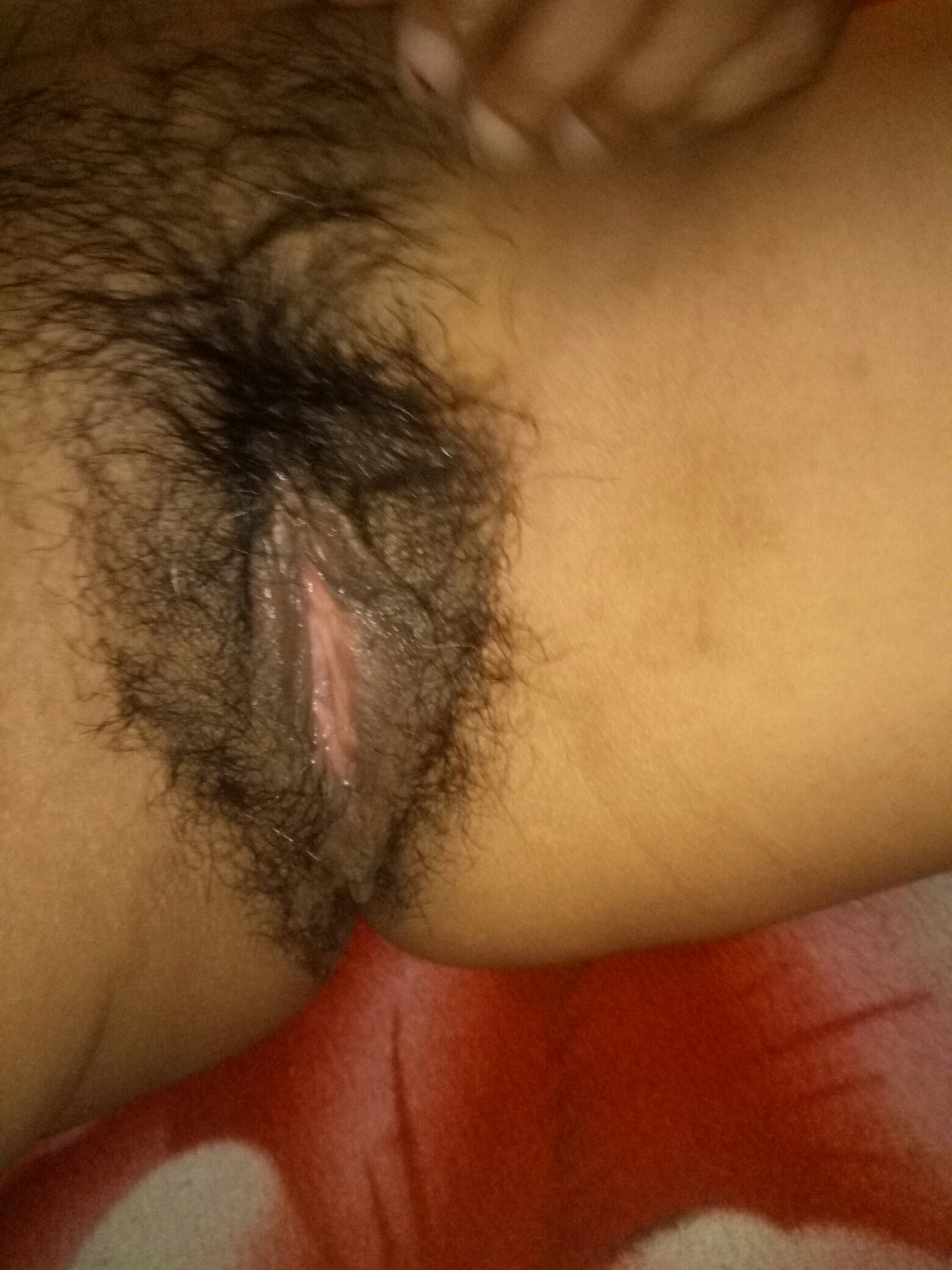 人民的名义，侯亮平为什么不敢吃高小琴给的鲍鱼，还有隐含的意思