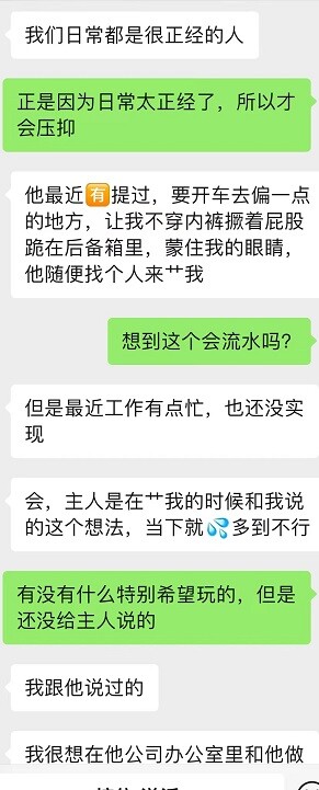 初入SM圈的性奴人妻