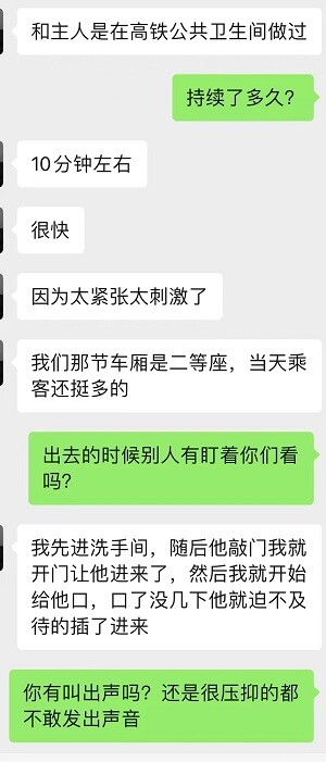 初入SM圈的性奴人妻