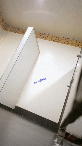 十一月最新流出私房厕拍大神隔墙有眼原创厕拍风华正茂的青春美骚逼品鉴