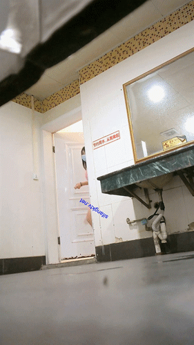 十一月最新流出私房厕拍大神隔墙有眼原创厕拍风华正茂的青春美骚逼品鉴