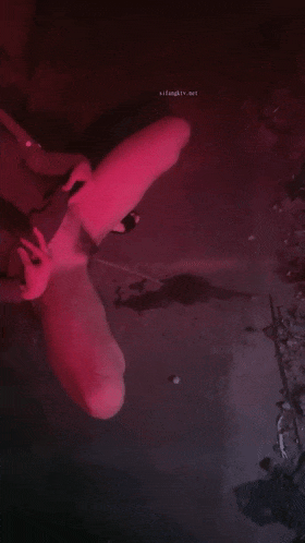 这么冷的天儿 依然要出去 真是牛逼【狐九儿】户外车震~车外按在车头~无套内射，干完尿在大街上，真刺激