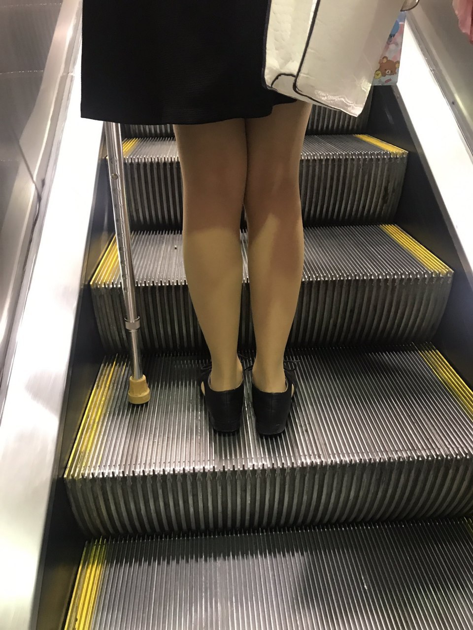 冬天到了，鸟儿南飞，小母狗又到了需要温暖的时节