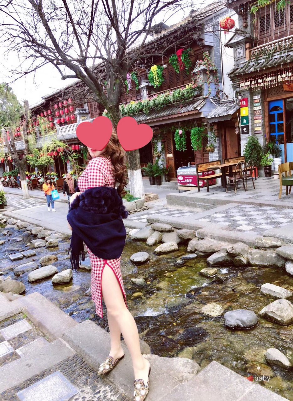 冬天到了，鸟儿南飞，小母狗又到了需要温暖的时节