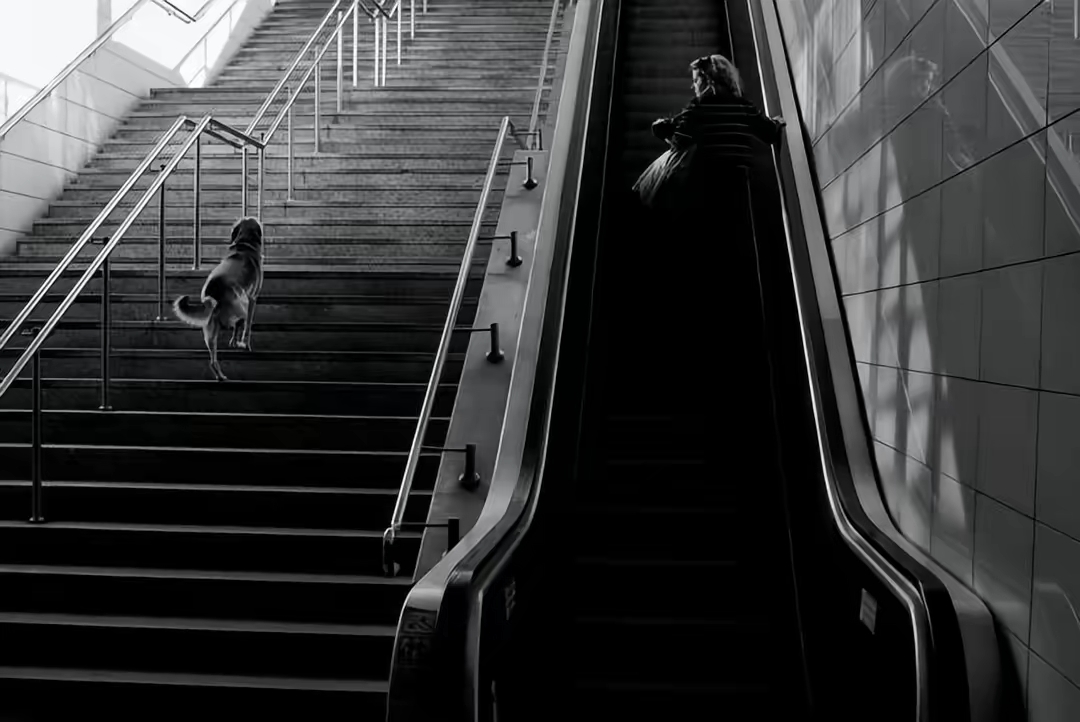 优秀街拍摄影作品欣赏，你敢拿起相机去拍吗？