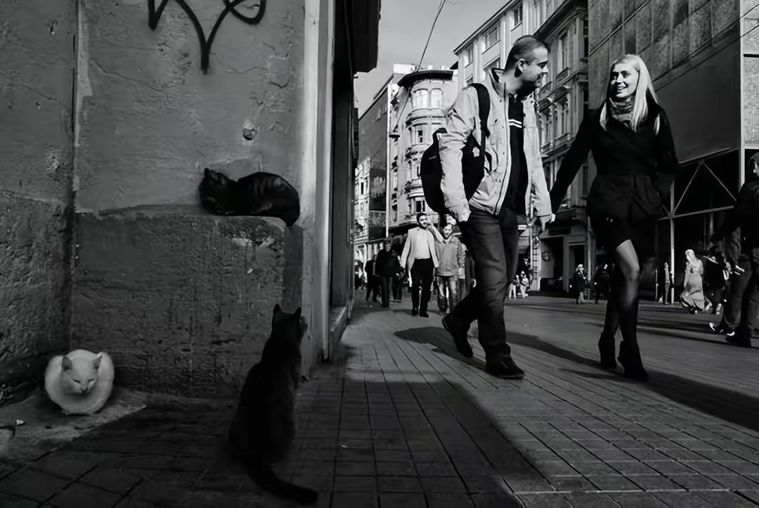 优秀街拍摄影作品欣赏，你敢拿起相机去拍吗？