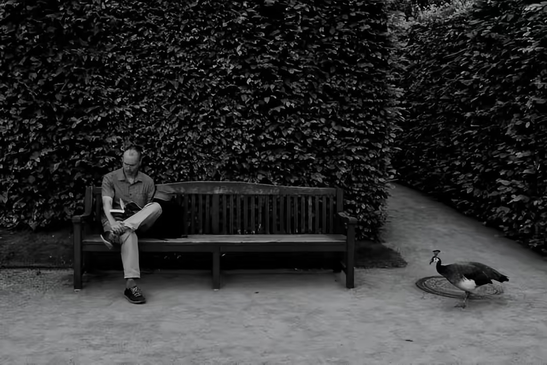 优秀街拍摄影作品欣赏，你敢拿起相机去拍吗？