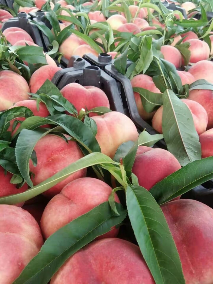 山东这些戴帽子的山，不简单