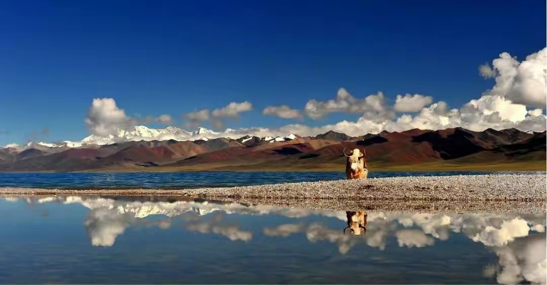 色林错——不断成长的魔鬼湖