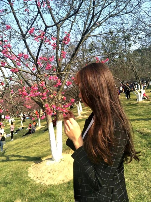 我的小爱同学-男性视角心路历程（1）-初遇